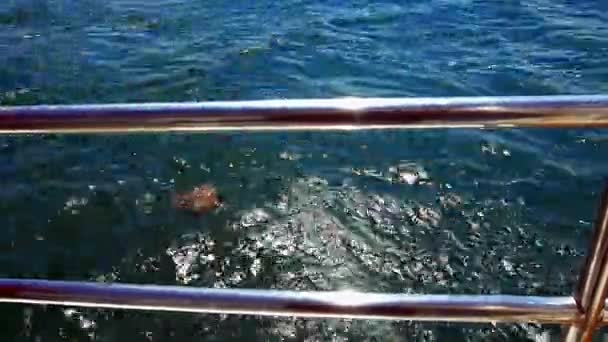 Fischerboot segelt im Meer — Stockvideo