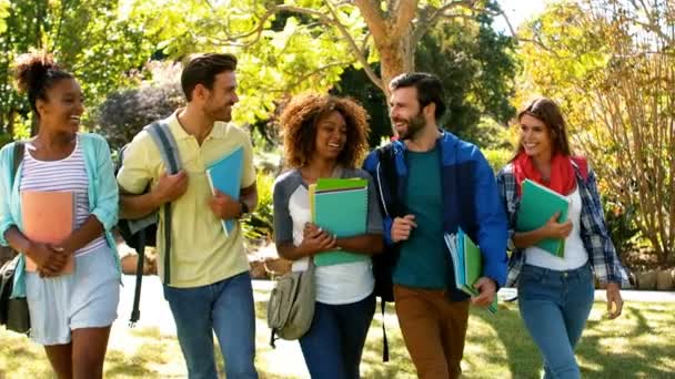 Grupo de amigos caminando en el campus — Vídeo de stock