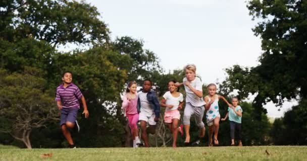 Groep kinderen die in het park spelen — Stockvideo