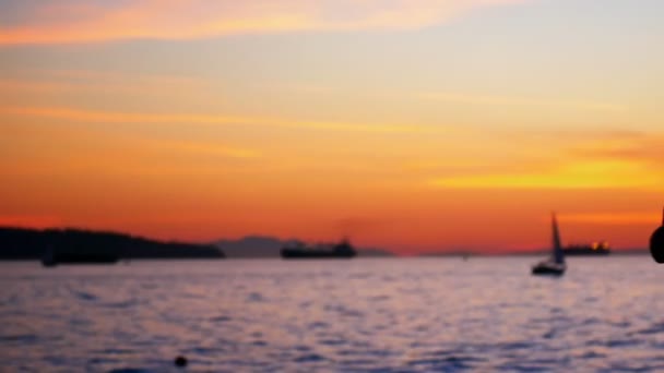 Woman performing yoga on the beach — Stock Video