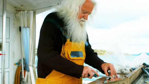 Pescador Filleting Fish — Vídeo de stock