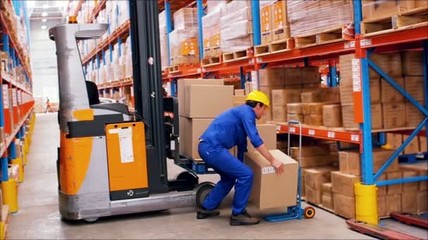 Male worker loading cardboard box on forklift — Stock Video