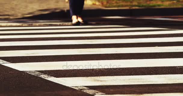 Peatonal caminar en cebra cruce — Vídeos de Stock