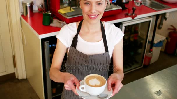 Portrait of smiling waitress — Stock Video