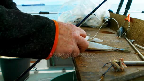 Pescador Filetes de peixes — Vídeo de Stock