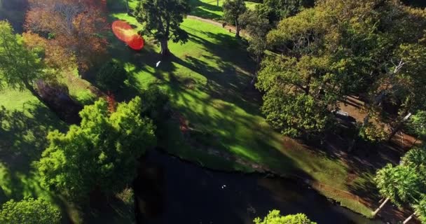 Aerial of beautiful parkland — Stock Video