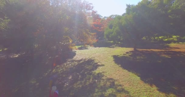 Família caminhando no parque — Vídeo de Stock