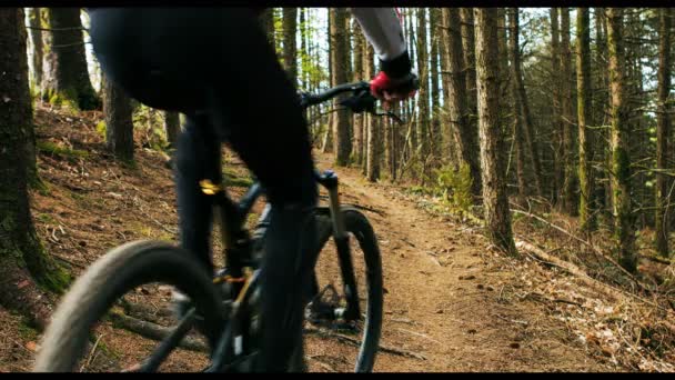 Biciclista de montanha andar de bicicleta — Vídeo de Stock