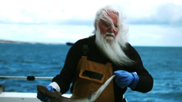 Pêcheur jetant du poisson en mer — Video