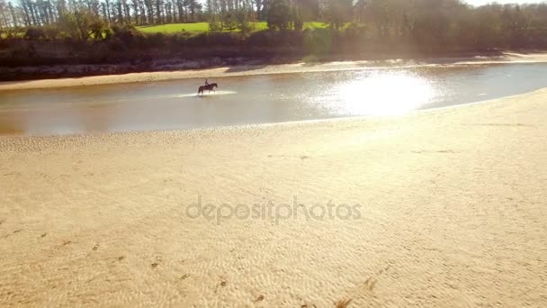해변에서 여자 승마 말 — 비디오