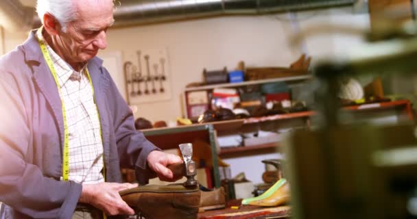 Shoemaker hammering on a shoe — Stock Video