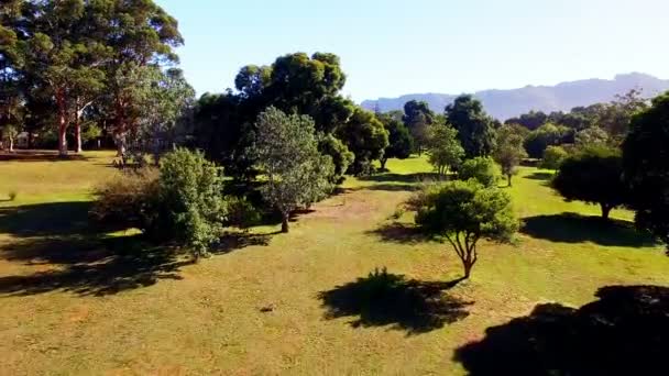 Güzel bir park alanı, hava — Stok video