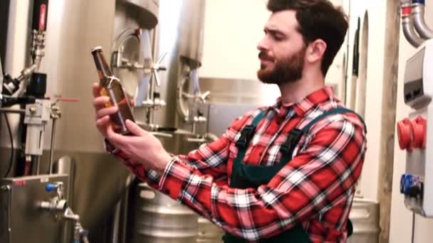 Brouwerij testen bierfles — Stockvideo