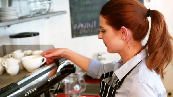 Waitress working at counter — Stock Video