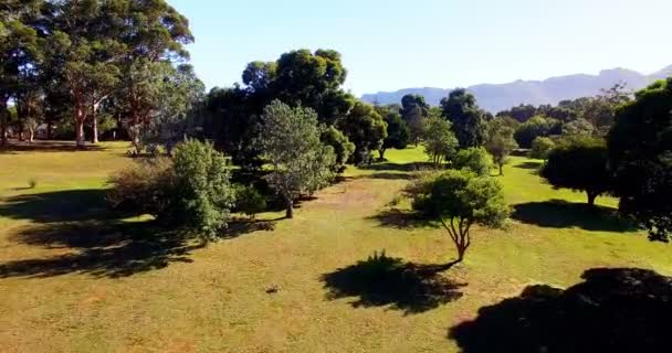 Aerial of beautiful parkland — Stock Video