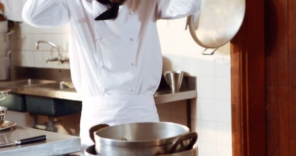 Portré a boldog chef — Stock videók