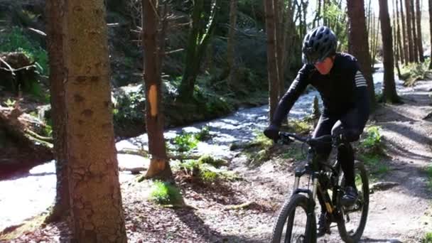 Bicicleta ciclista de montaña en el bosque — Vídeos de Stock