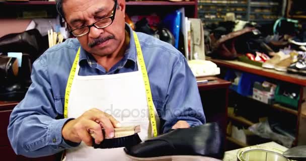 Sapateiro polir um sapato — Vídeo de Stock