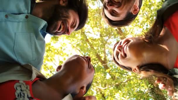 Group of friends forming huddles — Stock Video