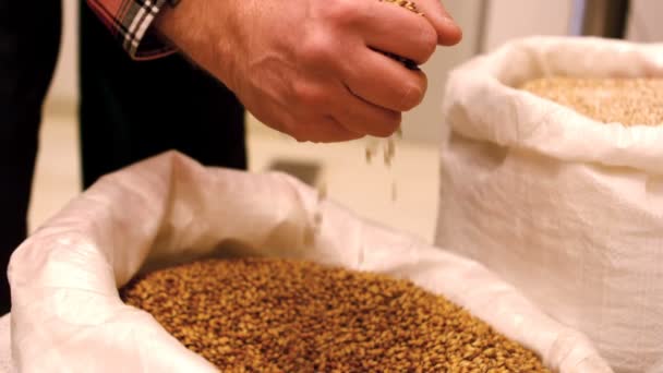 Birra versamento di grano — Video Stock