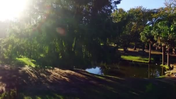 Blick auf schöne Parklandschaft — Stockvideo