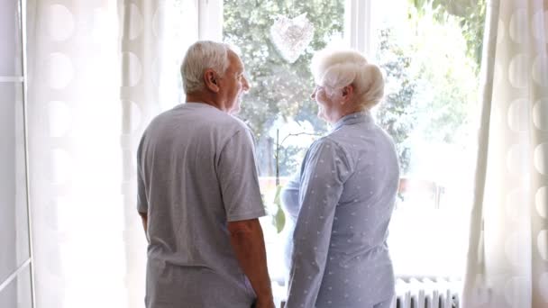 Pareja de ancianos de pie — Vídeo de stock