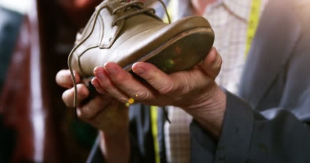 Fabricant de chaussures examinant une chaussure — Video