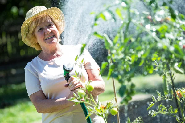 Senior vrouw Bewateren van planten met een slang — Stockfoto