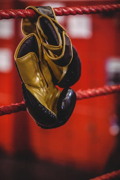 Γάντια του μποξ που κρέμεται από το δαχτυλίδι πυγμαχία — Φωτογραφία Αρχείου