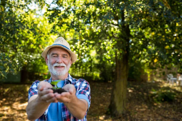 Senior homme tenant la récolte dans ses mains — Photo