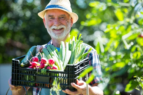 Hombre mayor sosteniendo cajón de verduras frescas — Foto de Stock