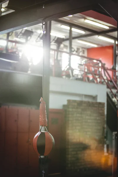 Pelota de boxeo de velocidad en gimnasio — Foto de Stock