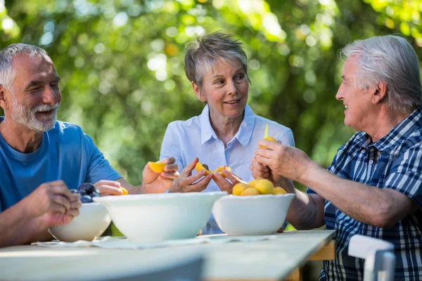 Äldre par att ta bort frön av aprikos frukter — Stockfoto