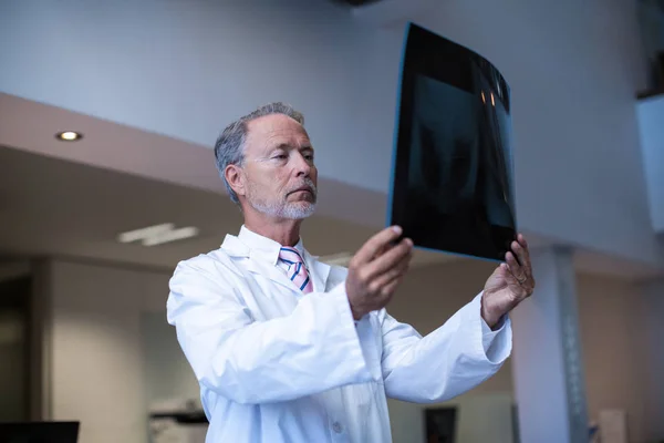 Mužské chirurg zkoumá x-ray — Stock fotografie