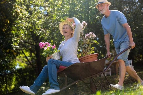 Äldre par leker med en skottkärra — Stockfoto