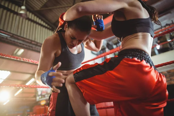 Mulher boxers lutando no ringue de boxe — Fotografia de Stock