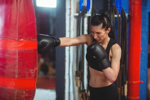 Female boxer practicing boxing with punching bag — Stock Photo, Image