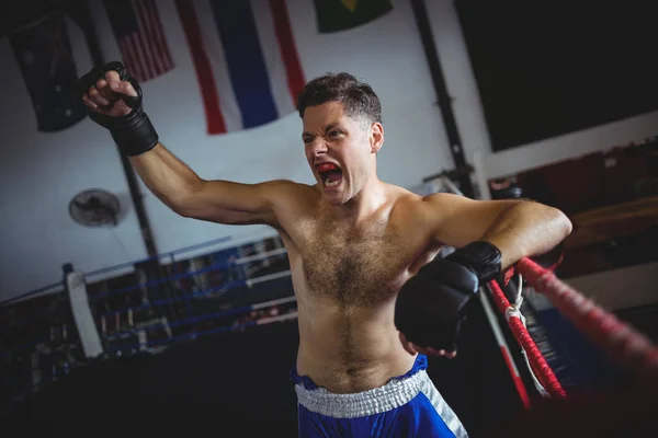 Boxer poserar efter seger — Stockfoto