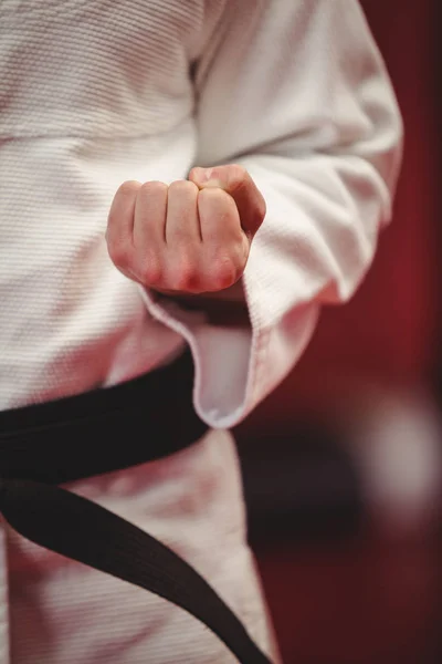 Karate player performing karate stance — Stock Photo, Image