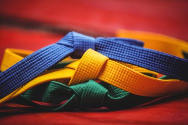 Blue, yellow and green karate belt clipart