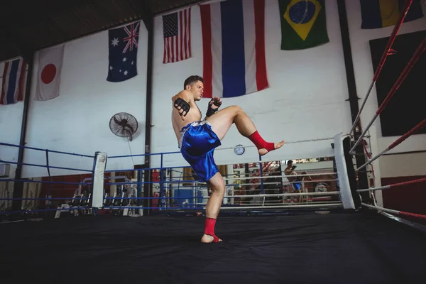 Впевнений боксер практикує бокс — стокове фото