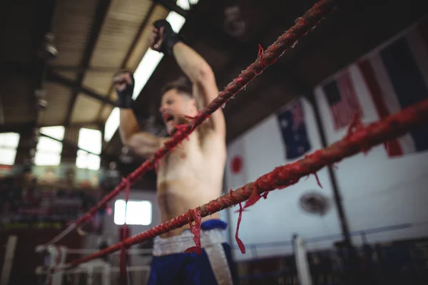 Boxer poseren na overwinning — Stockfoto