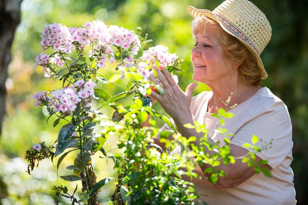 Mujer mayor examinando flores en el jardín —  Fotos de Stock