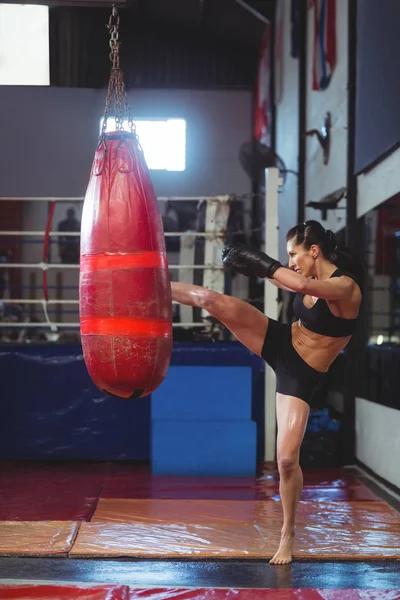 Boxeadora femenina practicando boxeo con saco de boxeo — Foto de Stock