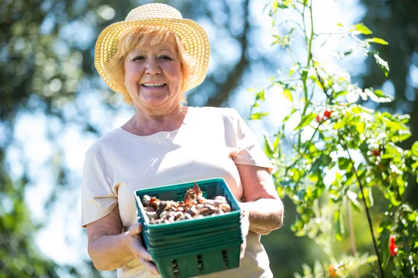 Donna anziana che tiene la cassa di chiocciola in giardino — Foto Stock