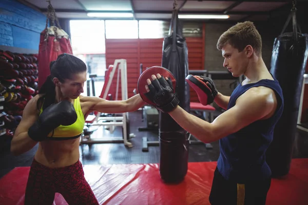 Boxeadores usando guantes de enfoque durante el entrenamiento — Foto de Stock