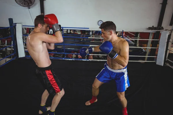 Boxeadores luchando en el ring de boxeo — Foto de Stock