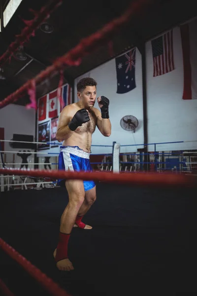 Boxer confiante realizando postura de boxe — Fotografia de Stock