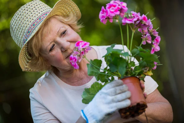 Donna anziana che tiene pianta in vaso in giardino — Foto Stock