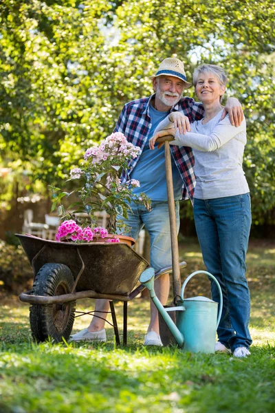 Jardinería de pareja mayor en el jardín — Foto de Stock
